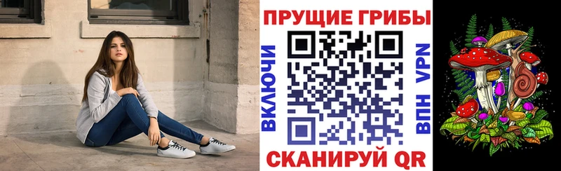 Псилоцибиновые грибы ЛСД  Александровск 